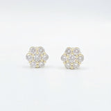 Diamond Flower Cluster Stud Earrings - Gold or Silver (Copy)