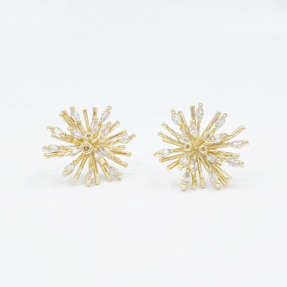 Hailey Stud Earrings